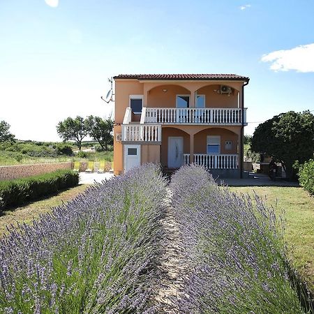 Apartment Sapavac Vir Exterior foto